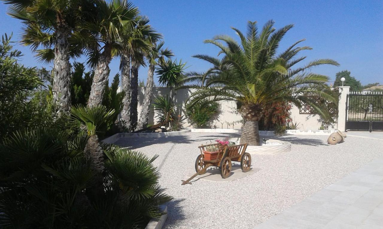 Macisvenda La Dolce Vita المظهر الخارجي الصورة