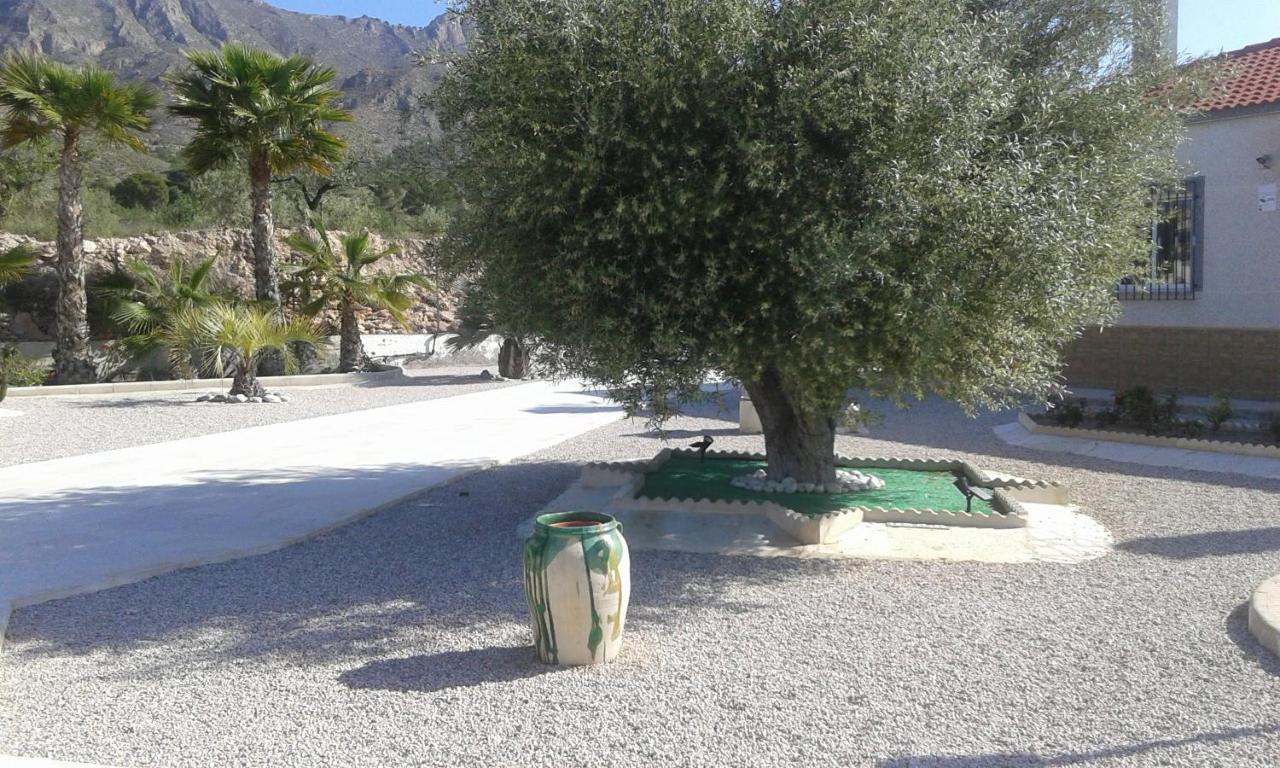 Macisvenda La Dolce Vita المظهر الخارجي الصورة