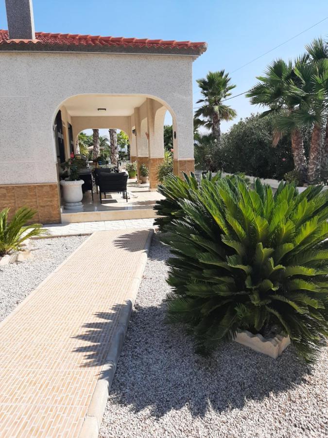 Macisvenda La Dolce Vita المظهر الخارجي الصورة